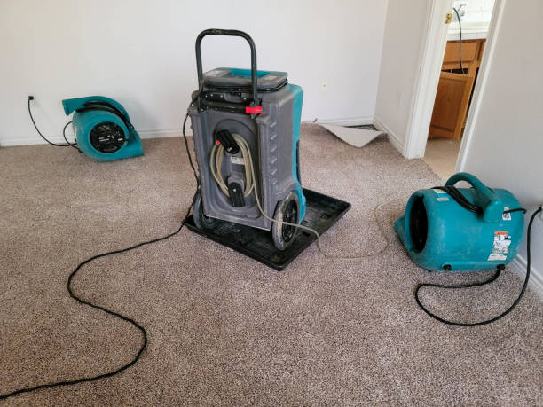 Water damage restoration mold remediation in Mccom, OH