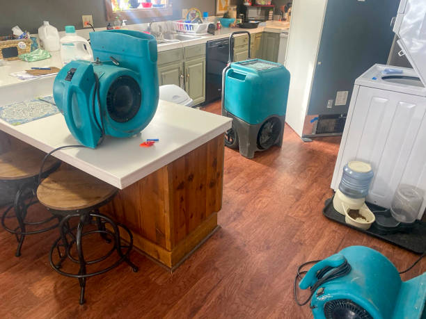 Trusted Mccom, OH Water damage restoration Experts
