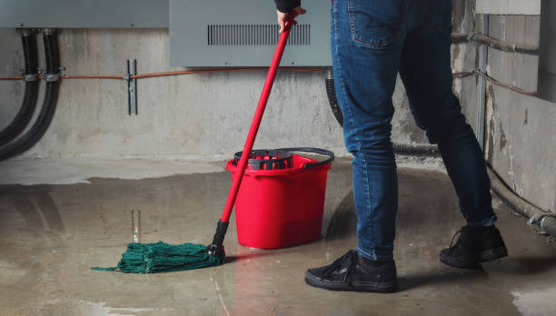 Best Basement water damage restoration  in Mccom, OH