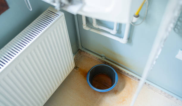 Best Flood damage cleanup  in Mccom, OH