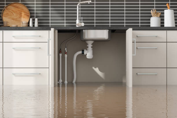 Best Mold removal after water damage  in Mccom, OH